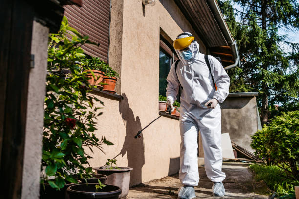 Best Cockroach Control Services  in Bellmawr, NJ