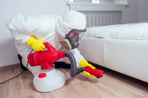 Wasp Removal Services in Bellmawr, NJ