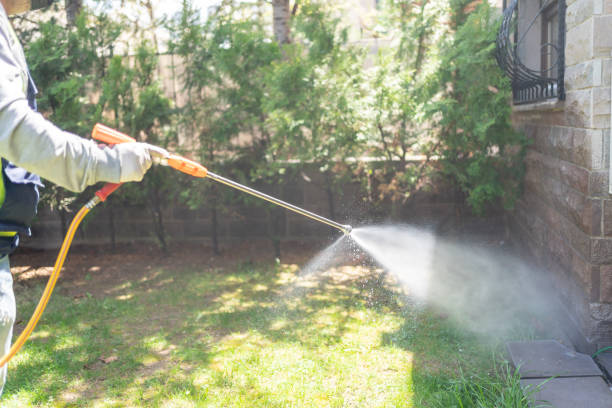Best Pest Prevention Services  in Bellmawr, NJ