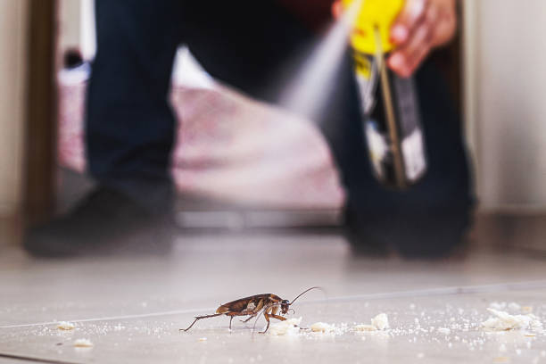 Bellmawr, NJ Pest Control Company